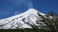 DSC05351