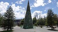 DSC05403