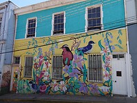 DSC05434