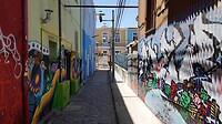 DSC05455