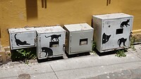 DSC05459