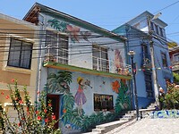 DSC05475