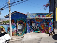 DSC05506