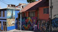 DSC05551