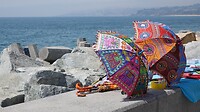 DSC05937