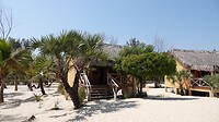DSC00020