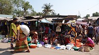 DSC00070