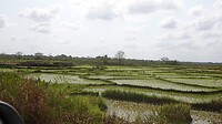 DSC00402