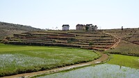 DSC03012
