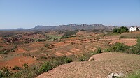 DSC02993