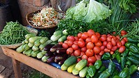 DSC03334