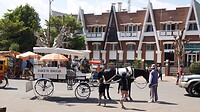 DSC03379