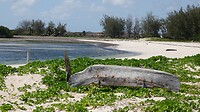 DSC03601