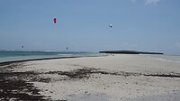 DSC03619