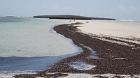 DSC03625