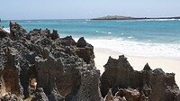 DSC03667
