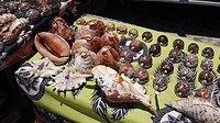 DSC03750