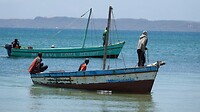 DSC03768