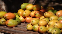 DSC04077