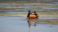 DSC04297