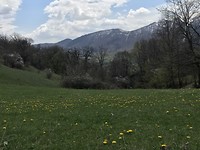 DE602155-43F8-44F4-A9B4-104DD0AB9296