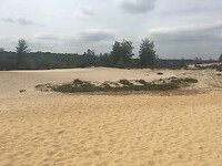 Mooie Maasduinen