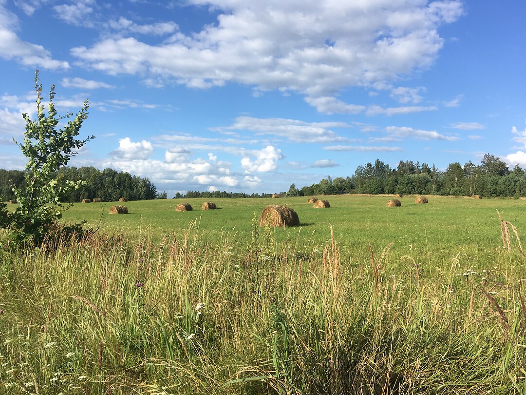 Onderweg