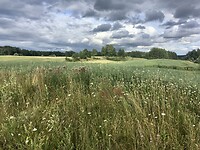Onderweg