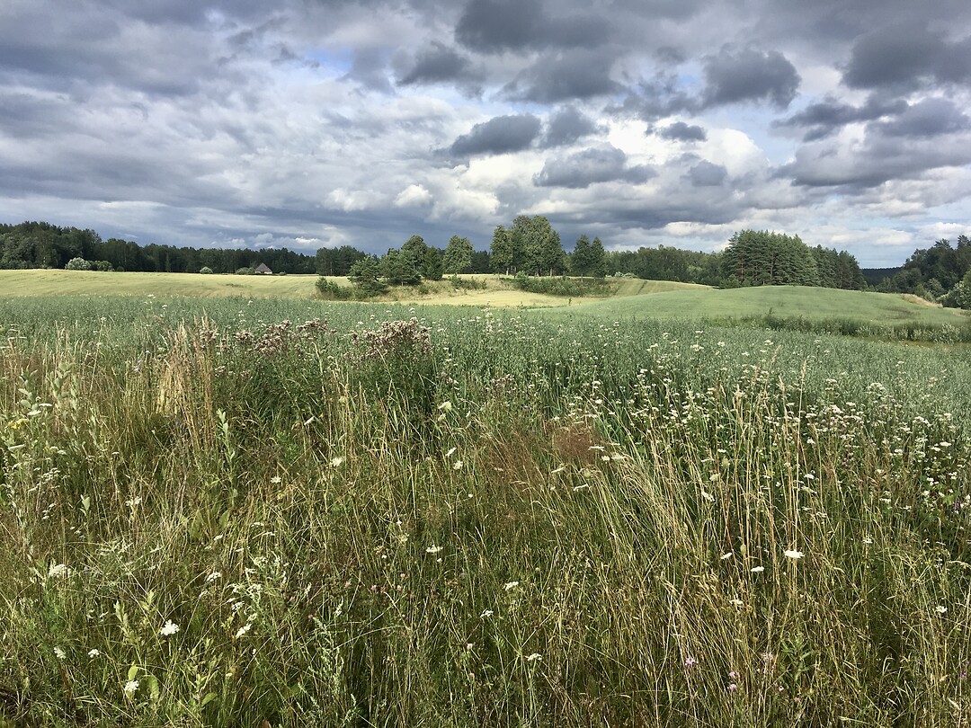 Onderweg