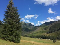 Chocholowska valley
