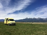 Mountain meadow
