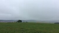 Mountain meadow part II