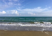 Good to sea you!