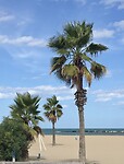 Pescara