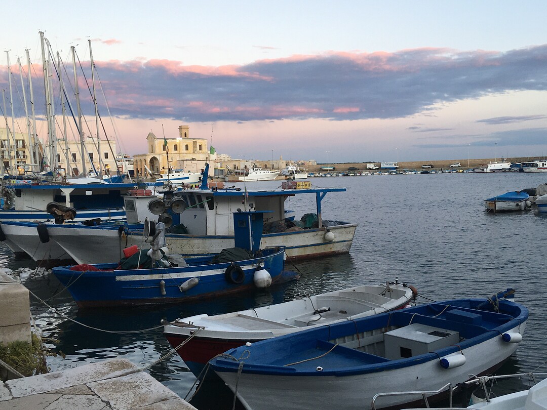 Gallipoli