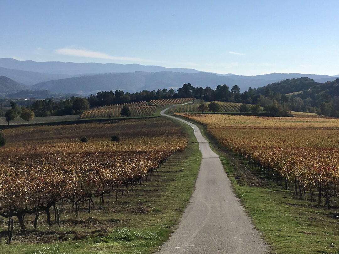 Herfst 🍂 in Frankrijk