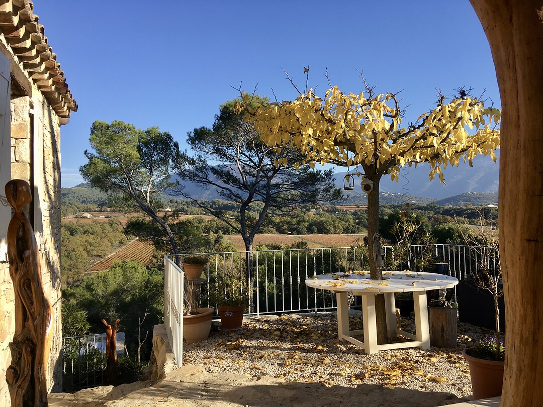 Found some yellow