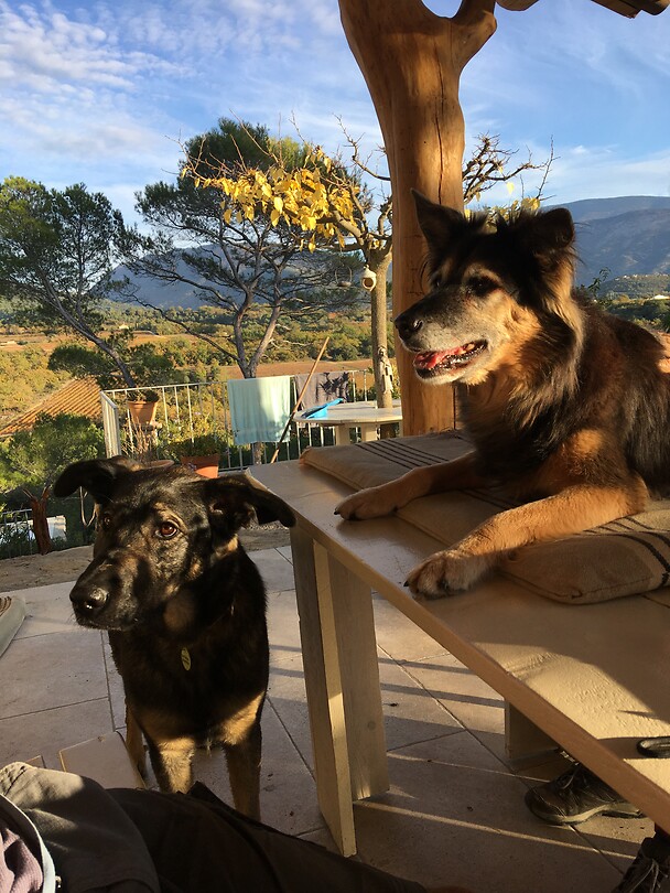 Schatjes Jiba & Coco