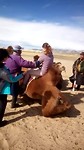 Mongolië / Deel Twee