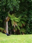 IMG_20181130_191025
