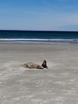 IMG_20190210_143254