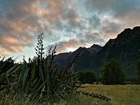 IMG_20190124_212346