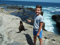 Morris met zeehond
