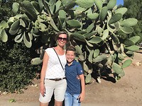 Old Town cactus
