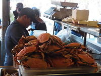Fisherman's Warf II