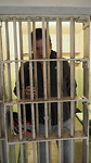 Alcatraz 8