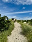 IMG_4299