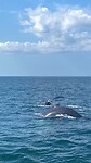 IMG_5839