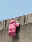 IMG_8516