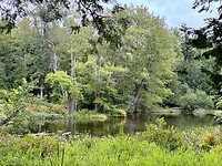 IMG_4770